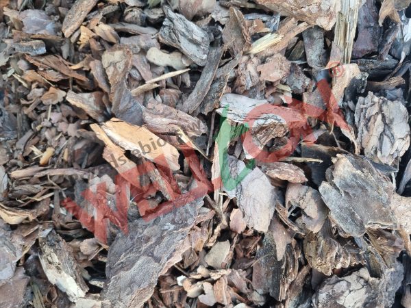 Kora sosnowa niesortowana 80l