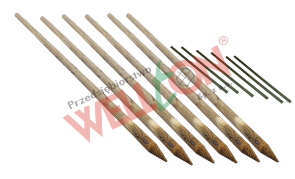 Palik do drzewek 6x200cm z taśmą 6 szt. ZESTAW